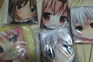 網友興奮炫耀《第一次買美少女抱枕睡不著》這只是踏入變態領域的第一步