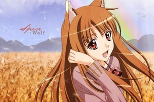 10年了！小清水亞美再談“萌狼赫蘿”