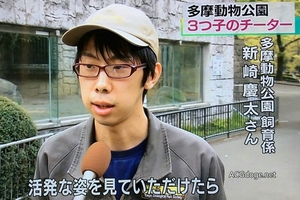  新崎大哥哥漫畫出道，日本專業喵星人雜誌推出新崎大哥哥介紹藪貓漫畫