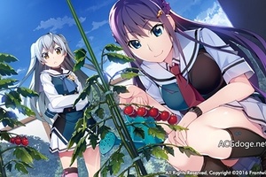 全年齡向遊戲《灰色Phantom Trigger》動畫化決定