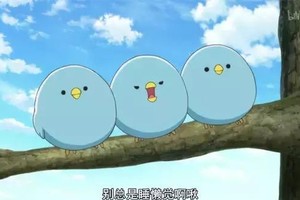 《妖怪公寓的幽雅日常》裡的三隻鳥，可能是動畫史上最貴的？