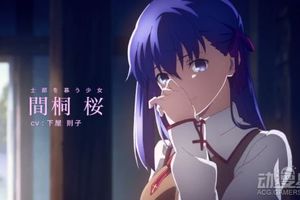 《Fate》劇場版天價膠片被拍賣，最終17萬日元成交