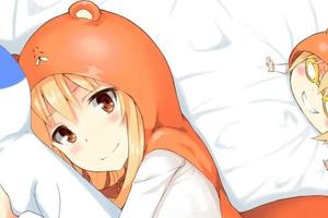 介紹8部動畫萌娘與愛用抱枕