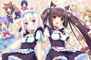 Steam「年末大掃除」：這次是真正的「紳士遊戲」從steam下架了