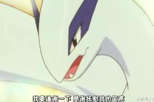 神奇寶貝中洛奇亞八個受歡迎的原因介紹