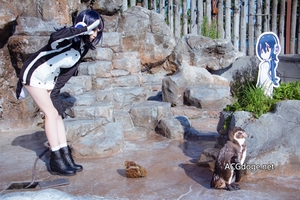  終有一別，東武動物園撤下葡萄君與呼嚕嚕看板