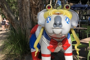 聲優松嵜麗在澳洲遭遇COS 美少女戰士的樹袋熊