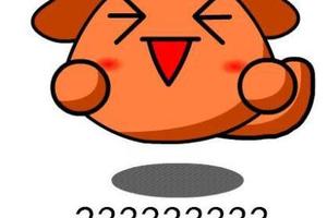 美國網友：250、666、2333等數字在中國中文裡是什麼意思呢？