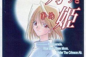 價格驚人《月姬》珍貴軟盤飆升至100萬日元