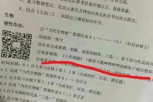 作業是看動漫你開心嗎？《工作細胞》這部新番被指定為生物作業