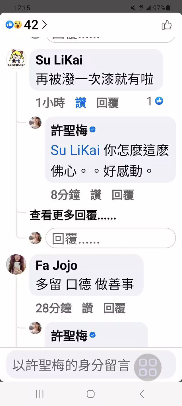 許聖梅曬出酸民攻擊留言。(圖/翻攝自臉書) 許聖梅曬出酸民攻擊留言。(圖/翻攝自臉書)