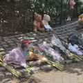 公園大樹突然倒塌壓5孩　1人傷重不治