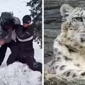 雪豹攻擊人！女遊客臉被咬傷全身血