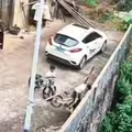 來不及煞車　男童翻牆摔落