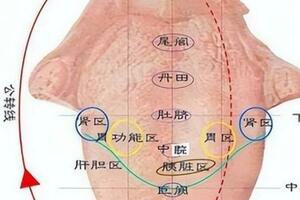 如何拍出標準舌診照片，這裡有方法！