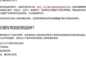 為何多地禁養秋田犬？澳洲秋田犬咬傷三人，看似軟糯本質是鬥狗