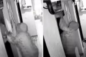 電梯夾娃娃車 「上升又下墜」女嬰情況曝 電梯夾娃娃車 「上升又下墜」女嬰情況曝