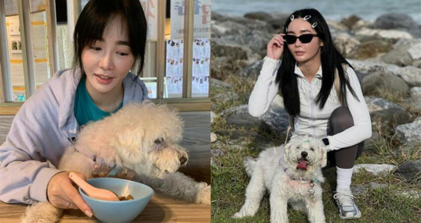 16年摯愛離世！舒子晨憔悴現身告別式 失聲痛哭：無法形容的痛