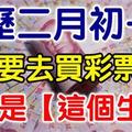 農曆二月初一，這些生肖一定要快去買彩券啊！尤其是『這個生肖』財運當頭，勢不可擋！