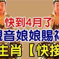 快到4月了，觀音娘娘賜福，【6大生肖， 快接喜】