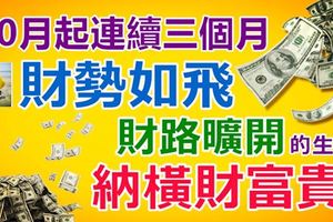  10月起連續三個月，財勢如飛的3個生肖，財路廣開納橫財富貴