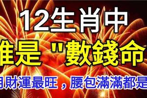 12生肖中的誰是「數錢命」，2月財運最旺，腰包滿滿都是錢！