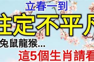 立春一到，這些生肖註定不平凡，生肖虎、生肖兔、生肖鼠、生肖龍、生肖猴...這5個生肖請看！