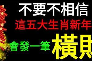 不要不相信，財顯福臨，這五個生肖財新年內會發一筆橫財！