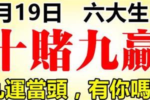 3月19日後，六大生肖走偏財運，九運當頭，十賭九贏！