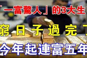 不富則已一富驚人！這3大生肖窮日子過完，今年起連富5年！