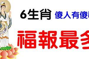 傻人有傻福的六大生肖，看似老是吃虧，卻是富貴之人！