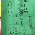 12/5 白鶴童子  六合參考