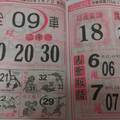 1/7 馬會版路  六合參考