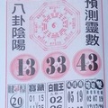 3/5 神鷹  六合參考