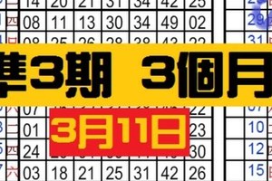 3月11日六合【六合】獨支 + 2中1~2、獨碰二星版路 ( 共 5 版 ) 參考