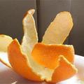 橘子皮超全養花詳解，扔掉太可惜了！