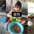 「泰國小吃攤真的太猛了吧」日本網友分享泰國旅遊照竟引發所有人暴動:求組團朝聖