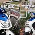 台北街頭驚見「史上最狂勁戰改裝車」，網友驚嘆：靠！這確定不是Ｐ圖？！