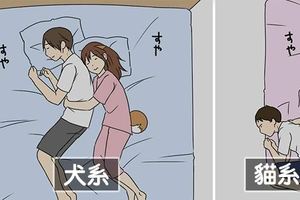 如果女友變成…「犬系女友 VS 貓系女友」爆笑漫畫，2種都是極端的生活男友哭笑不得啊！