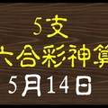 [六合彩神算] 5月14日 5支 10期版路分析(三年)