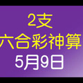 [六合彩神算] 5月9日 2支 10期版路分析(二年)