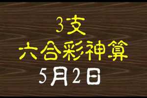 [六合彩神算] 5月2日 4支 10期版路分析(二年)