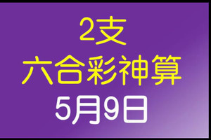 [六合彩神算] 5月9日 2支 10期版路分析(二年)