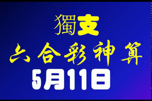 [六合彩神算] 5月11日 獨支 10期版路分析(所有期數)