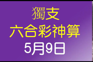 [六合彩神算] 5月9日 獨支 10期版路分析(一年)