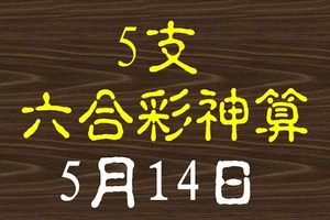 [六合彩神算] 5月14日 5支 10期版路分析(三年)