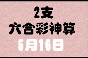 [六合彩神算] 5月16日 2支 10期版路分析(所有期數)