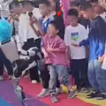 機器人表演飛踢！男童慘遭狠踹倒地