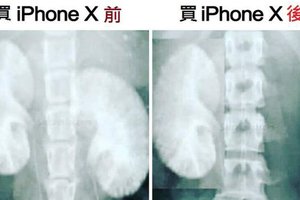 怎麼腎少一顆?果粉玻璃心掉滿地…國外網民嘴超酸 爆笑吐槽APPLE梗圖大合集