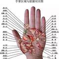 「补图」每天睡前，只要36下！记得做哦！